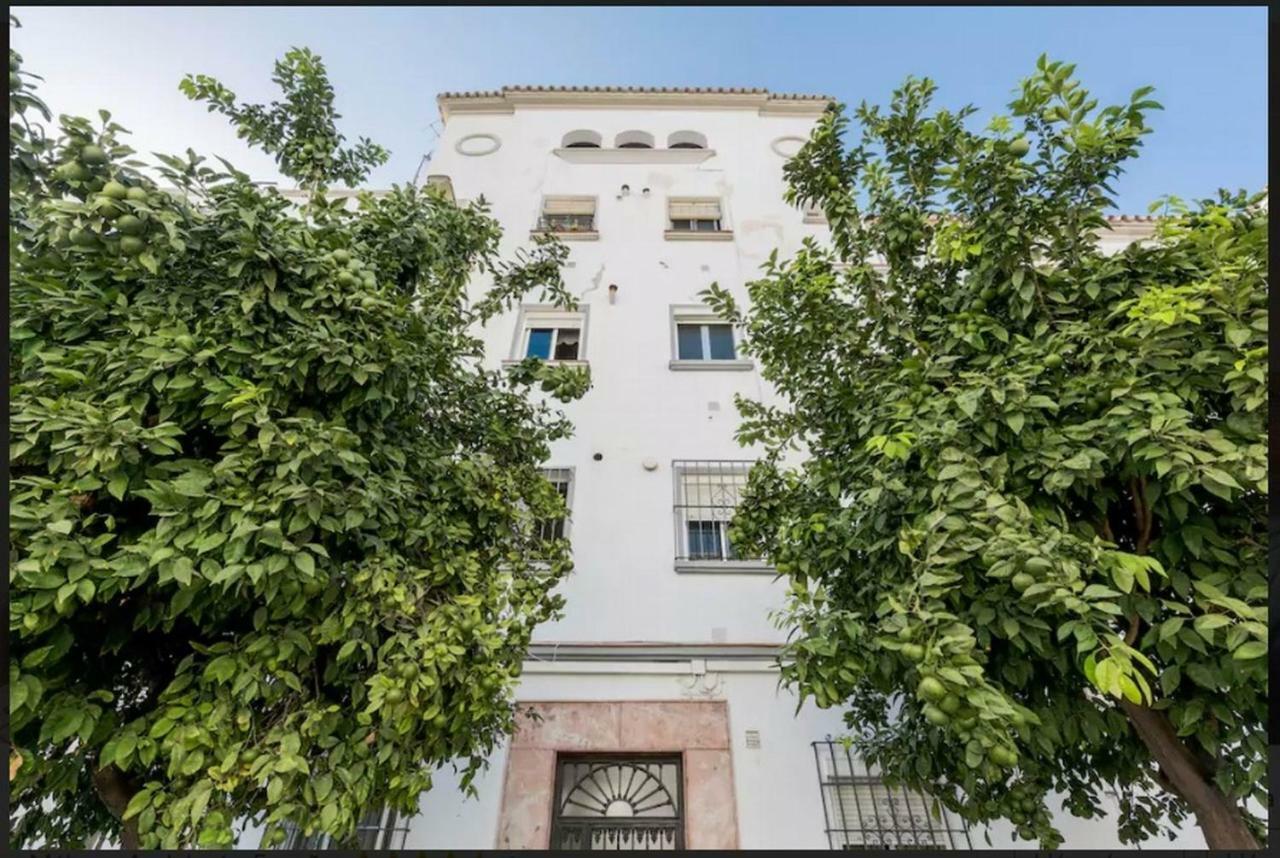 Apartamento Milagros 110 M2 Málaga Eksteriør bilde